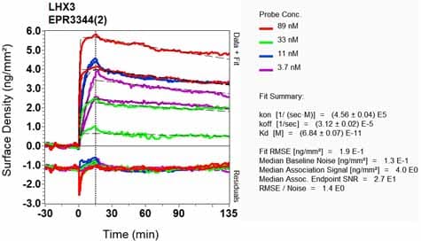 Anti-LHX3/LIM antibody [EPR3344(2)](AB124697)