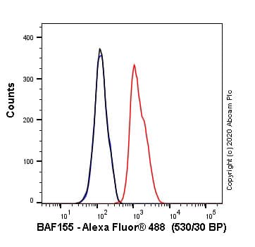 Alexa Fluor® 488 Anti-SMARCC1/BAF155 antibody [EPR12395](AB237172)