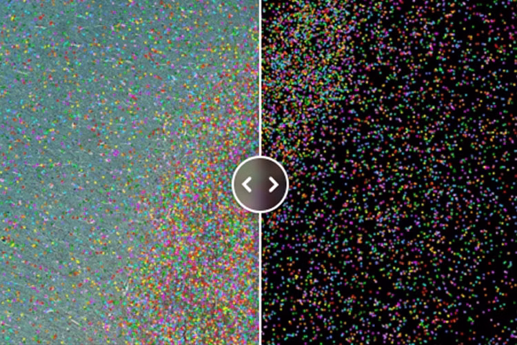 CompareImage Of Target Cell Type AIVIA Kid21756480