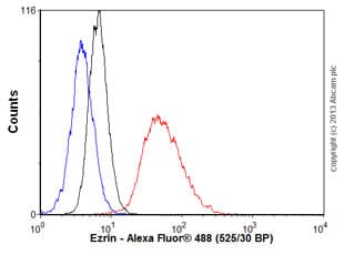 Anti-Ezrin antibody [EP886Y] - Plasma Membrane Marker(AB40839)