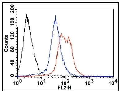 RNA Synthesis Assay Kit(AB228561)