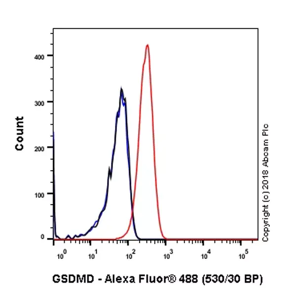 Anti-GSDMD antibody [EPR20859](AB219800)