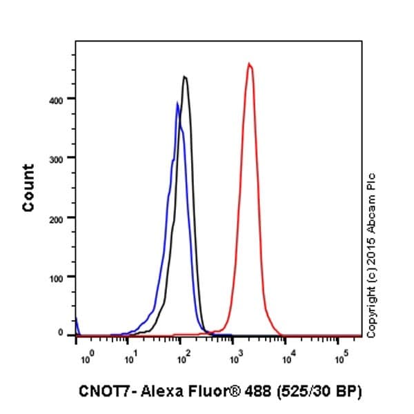 Anti-CNOT7 antibody [EPR18722](AB195587)