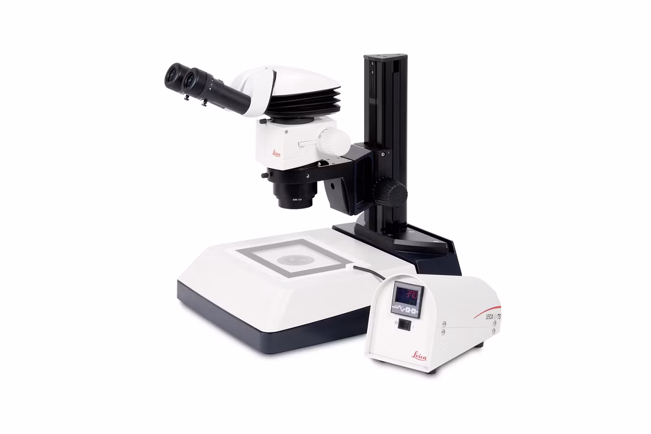 Leica MA TS Microscope Stage Small List Kid21766051 2
