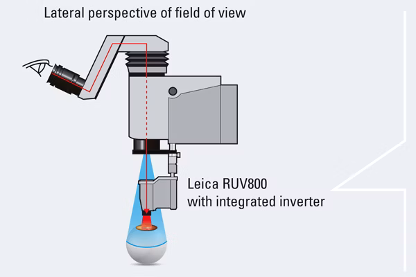 RUV800 Graphic Lateral 10 Kid21769086
