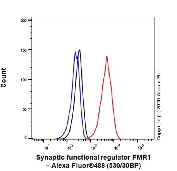 Anti-FMRP antibody [EPR23852-90] - BSA and Azide free(AB277489)