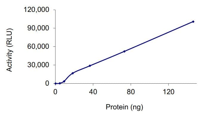 Recombinant human CAMKK2 protein (Active)(ab268380)