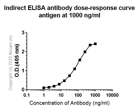 Anti-Neutrophil Elastase antibody [RM1077](AB314916)