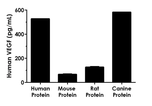 Human VEGF ELISA Kit(AB222510)