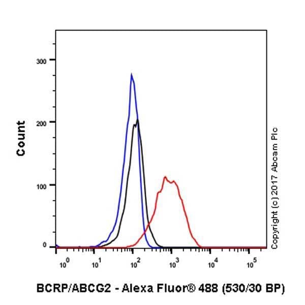 Anti-BCRP/ABCG2 antibody [EPR21122](AB229193)