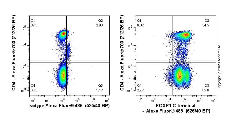 Anti-FOXP1 antibody [SP133] - C-terminal(AB227649)