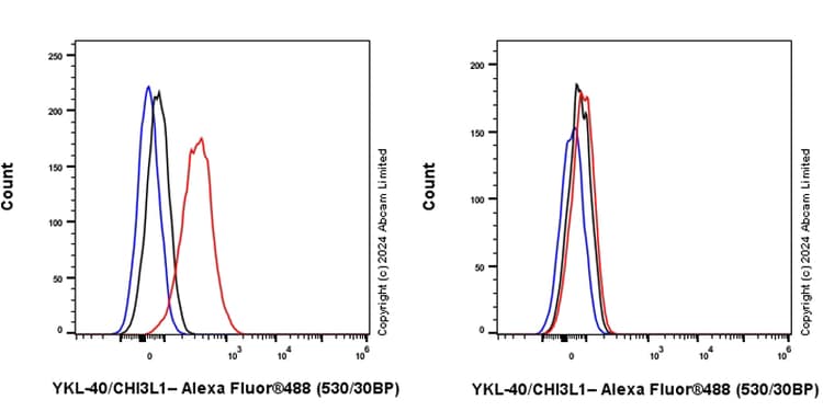 Ykl 40 Chi3l1 Antibody Rm1204 Bsa And Azide Free Ab319165  Flow Cytometry Intracellular Img434106