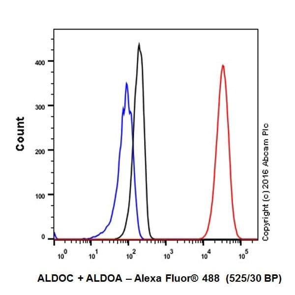 Anti-Aldolase+Aldolase C antibody [EPR19355] - BSA and Azide free(AB251296)