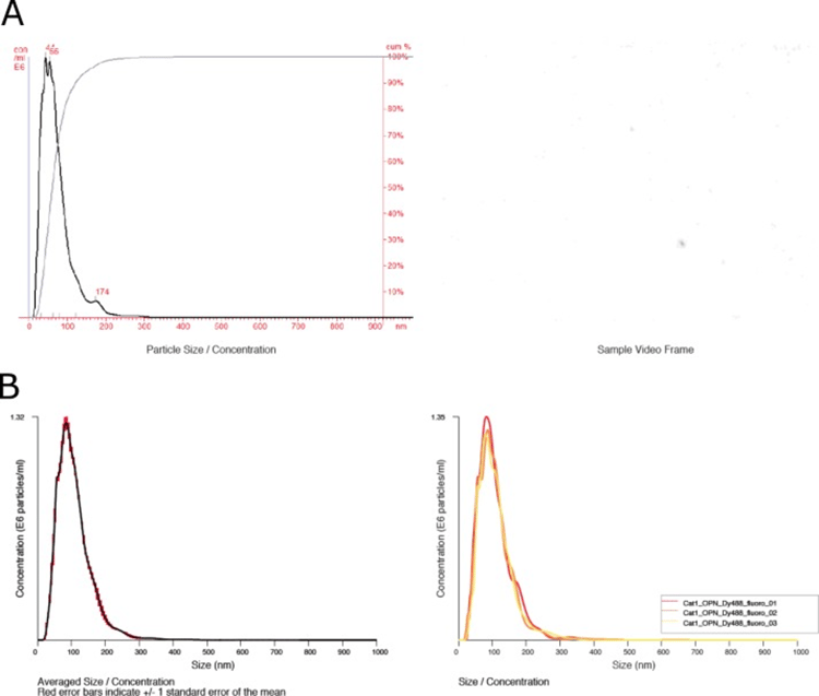 DyLight® 488 Conjugation Kit (Fast) - Lightning-Link®(AB201799)