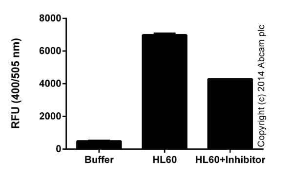 Cathepsin B Activity Assay Kit (Fluorometric)(ab65300)