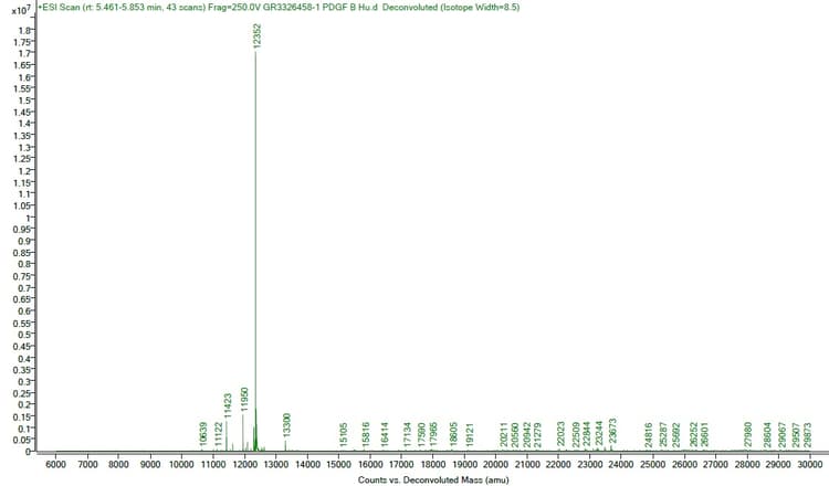 Recombinant human PDGF B protein (Active)(AB259425)