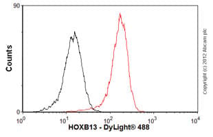 Hoxb13 Antibody Mabcam53931 Ab53931  Flow Cytometry Intracellular Img120842