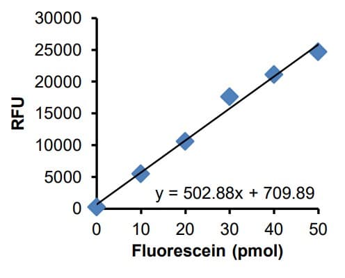 Beta Galactosidase Assay Kit(ab287846)