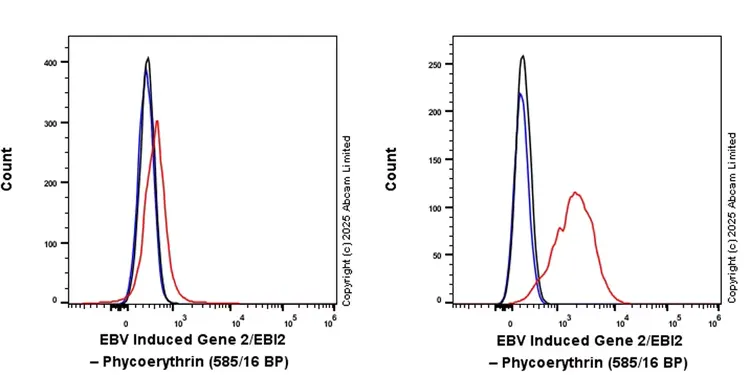 PE Rabbit IgG, monoclonal [EPR25A] - Isotype Control(AB209478)
