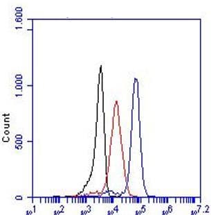 Anti-TLR3 antibody [TLR3.7](AB12085)