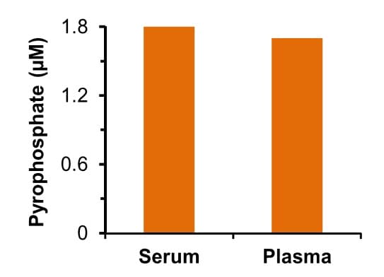 Pyrophosphate Assay Kit (Colorimetric / Fluorometric)(AB234040)