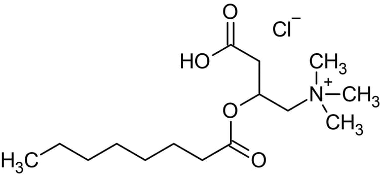 Octanoylcarnitine Chloride Lipid Metabolism Intermediate Ab141001  Chemical Structure Img181188