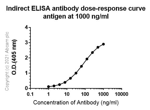 Anti-alpha 1 Fetoprotein antibody [RM1011] - BSA and Azide free(AB284396)