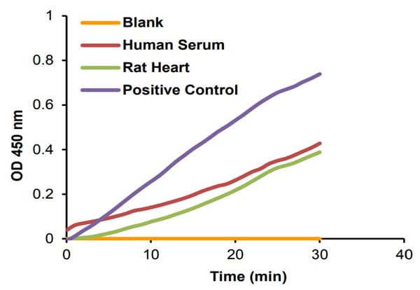Creatine Kinase Activity Assay Kit (Colorimetric)(AB155901)