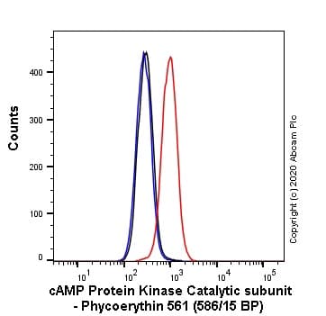 PE Anti-cAMP Protein Kinase Catalytic subunit antibody [EP2102Y](ab252099)