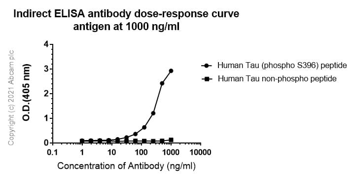 Anti-Tau (phospho S396) antibody [E178](ab32057)