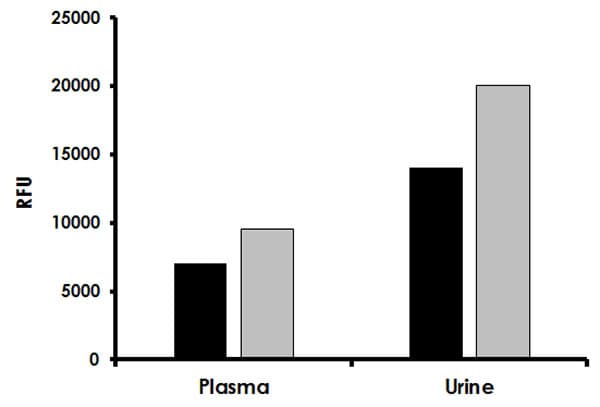 Adenosine Assay Kit (Fluorometric)(AB211094)