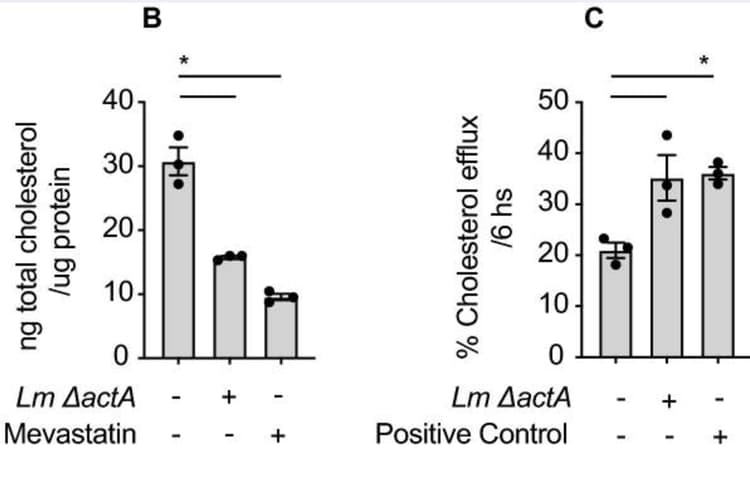 Cholesterol Efflux Assay Kit (Cell-based)(AB196985)