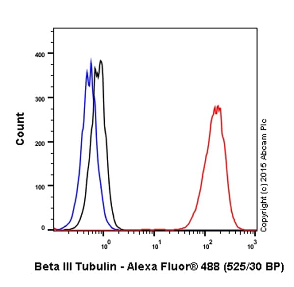 Anti-beta III Tubulin antibody [EP1569Y] - Neuronal Marker(AB52623)