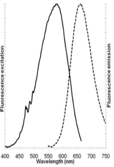 Golgi/ER Staining Kit - Cytopainter(AB139485)