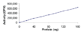 Recombinant human AKT3 protein(AB60324)