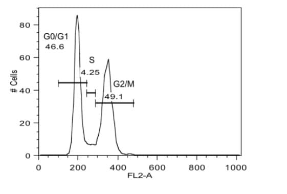 Cell Cycle Analysis Kit(ab287852)