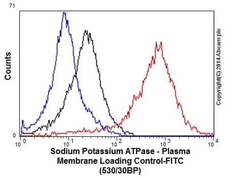 Anti-Sodium Potassium ATPase antibody [EP1845Y] - BSA and Azide free(AB167390)