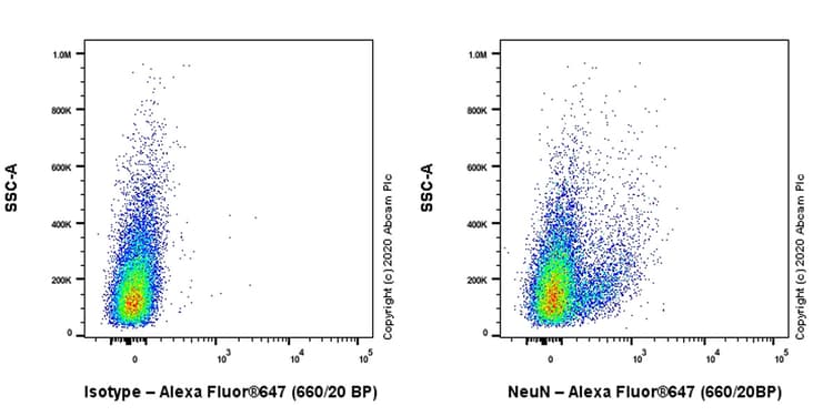 Anti-NeuN antibody [EPR12763] - Mouse IgG1 (Chimeric)(AB279295)