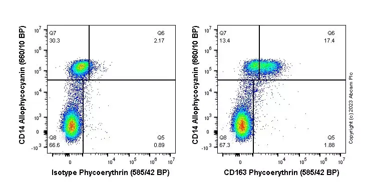 PE Rabbit IgG, monoclonal [EPR25A] - Isotype Control(AB209478)
