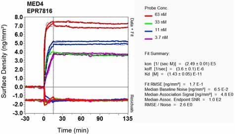Anti-MED4 antibody [EPR7816] - BSA and Azide free(AB248327)