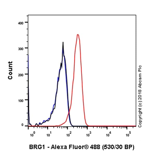 Anti-BRG1 antibody [EPR3912](AB108318)