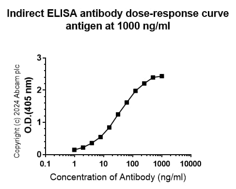 Anti-Pseudomonas Outer membrane porin F antibody [EPR28629-91](AB316973)