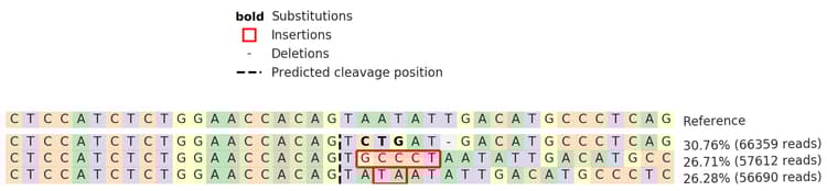 Human CD3E knockout Jurkat cell line(AB277186)