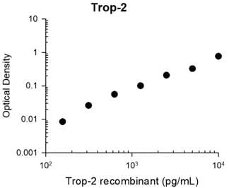 Anti-TROP2 antibody [M005] - Extracellular domain(AB253293)