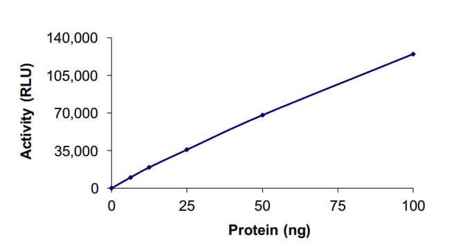Recombinant mouse HDAC5 protein (Active)(AB268615)