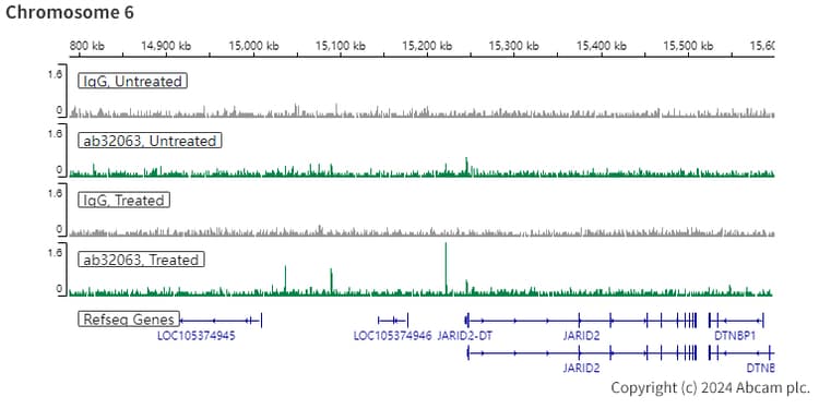Anti-Estrogen Receptor alpha antibody [E115] - ChIP Grade(ab32063)