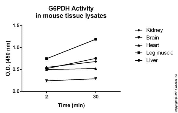 Glucose 6 Phosphate Dehydrogenase Assay Kit (Colorimetric)(AB102529)