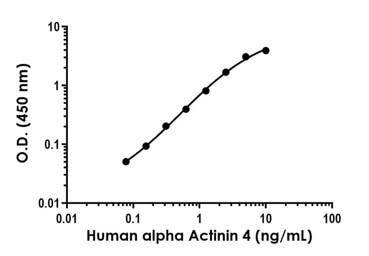 Alpha Actinin 4 Antibody Epr2533 31 Bsa And Azide Free Capture Ab307257  Sandwich Elisa Img408711