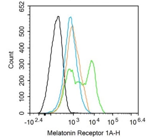 Anti-Melatonin Receptor 1A/MTNR1A antibody(AB203038)