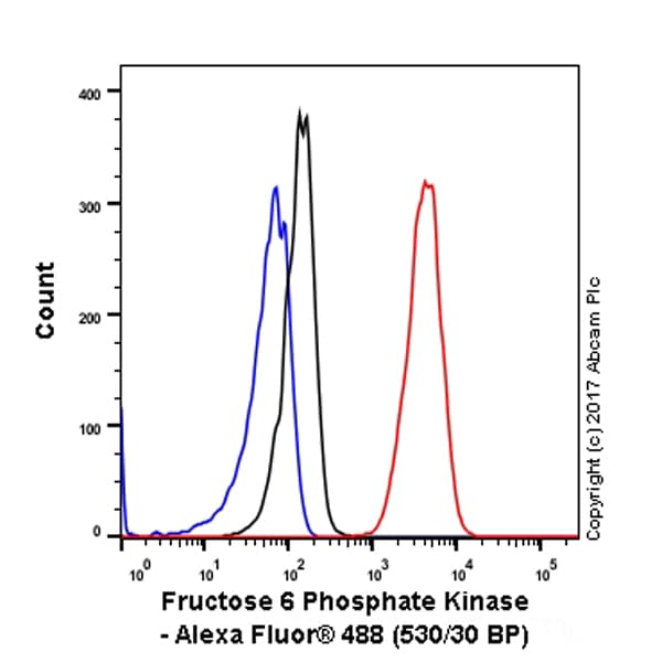 Anti-PFKM antibody [EPR10734(B)] - BSA and Azide free(AB232495)